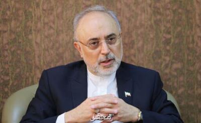 صالحی: دست ایران در مذاكرات وین از نظر فنی بسیار پر است
