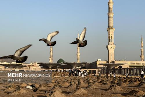 برنامه هیأت های مذهبی بمناسبت سالروز تخریب بقیع